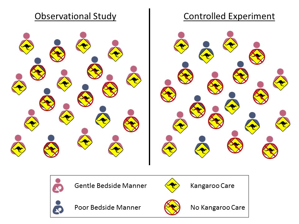 Two panels labeled observational study and controlled experiment.  Each panel contains symbols indicating whether the nurse has gentle or poor bedside manner and whether they use kangaroo care.  The panel labeled observational study illustrates confounding.