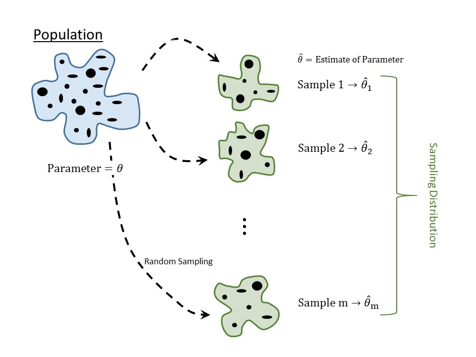 A blue blob represents the population; several arrows extend from the population to green blobs, each representing a unique sample.  An area to the right shows that each sample is summarized by a statistic.